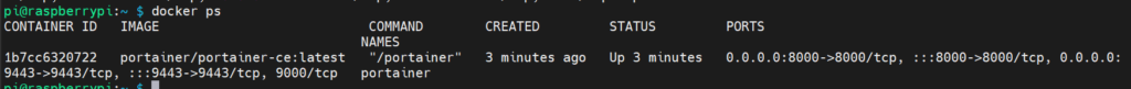 Raspberry Pi - Docker Container
